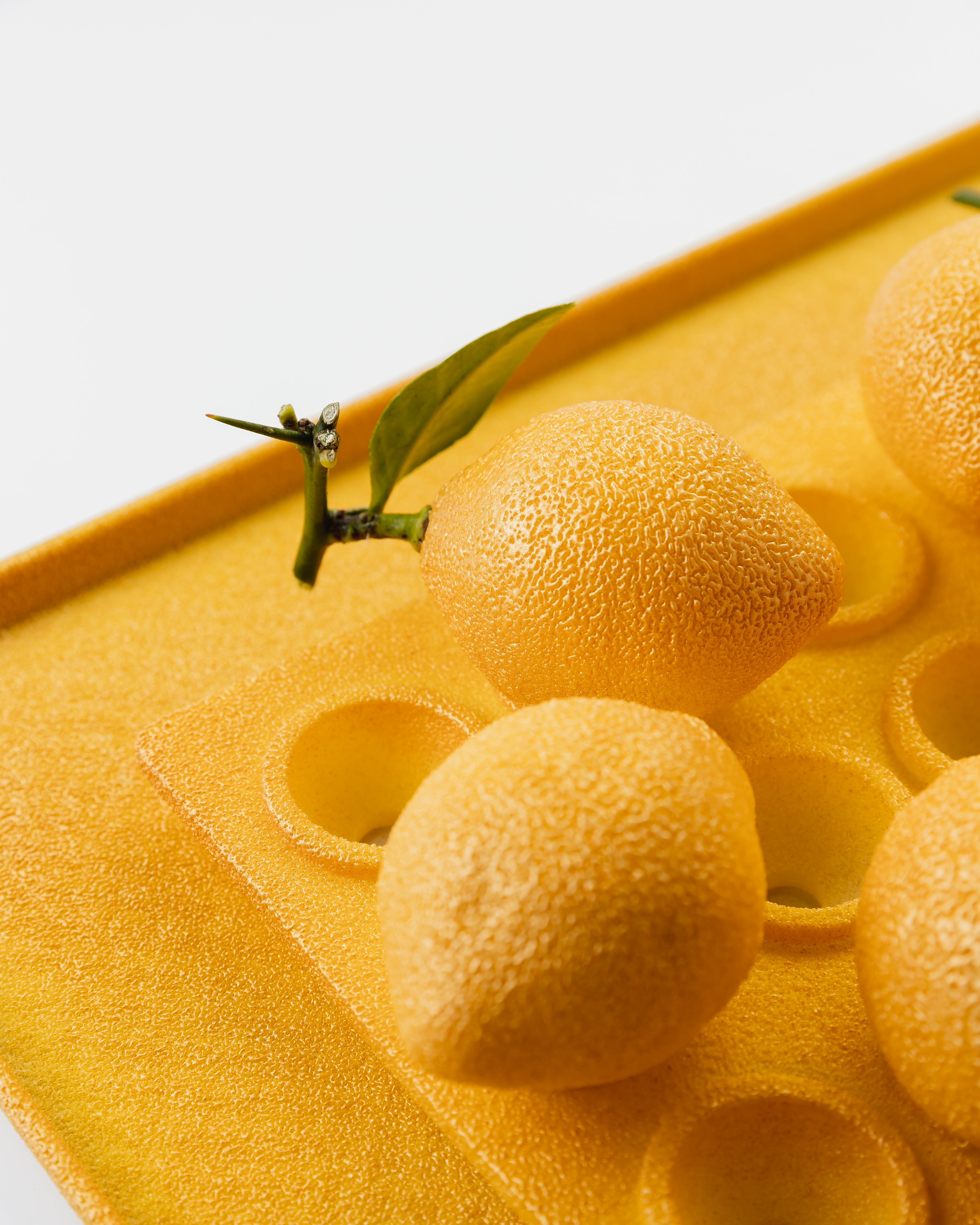 LEMON ZEST – Haute [ōt] Shop